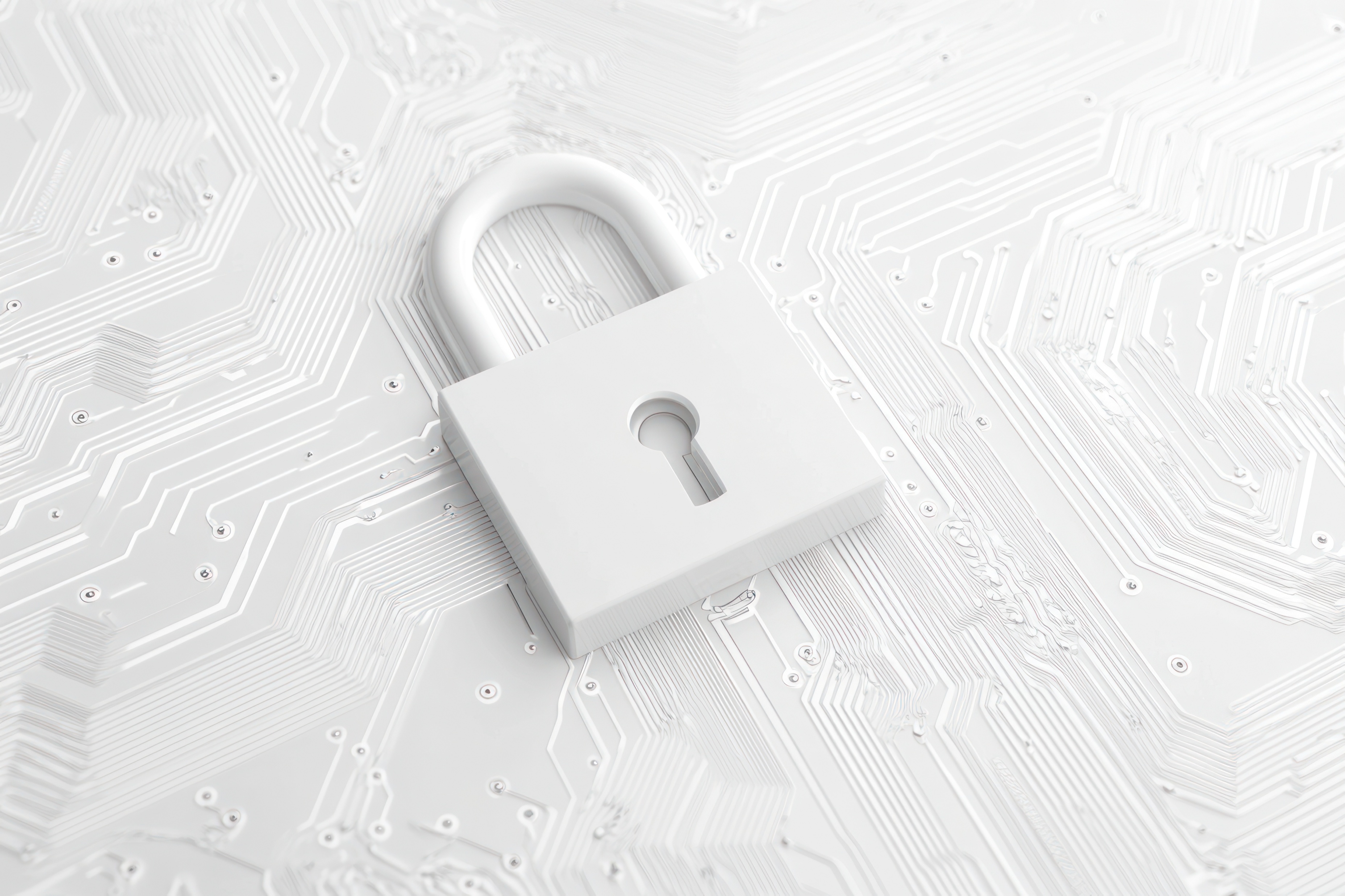 Secure LLMs